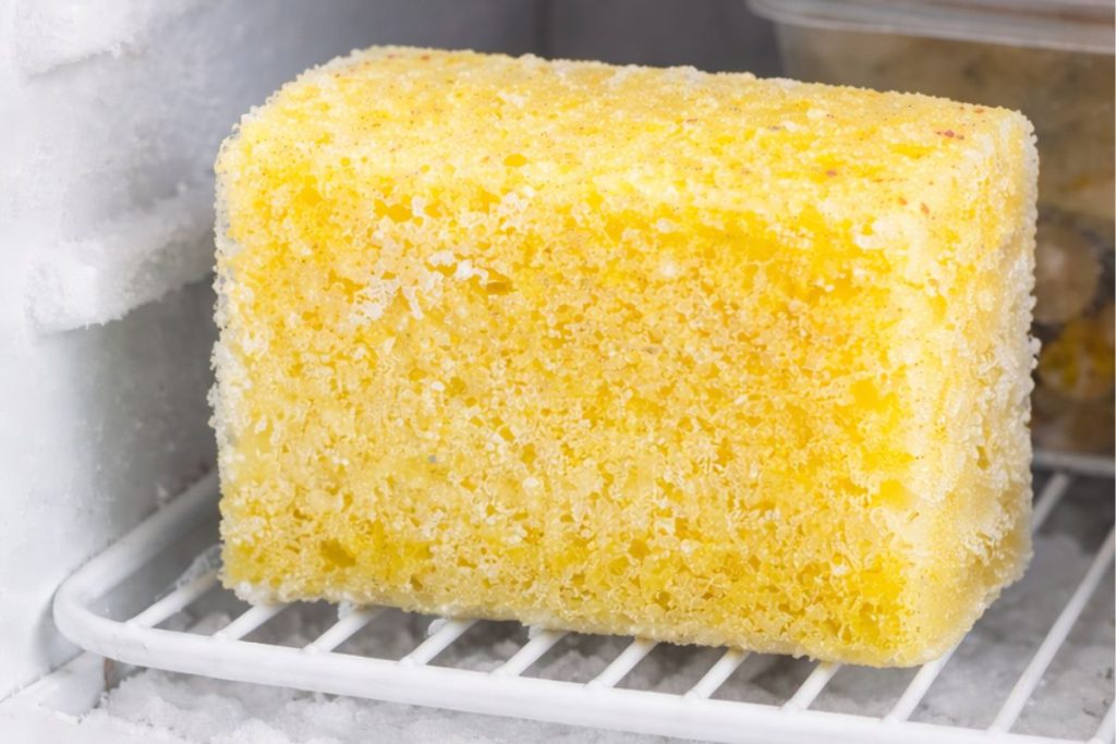 esponja úmida no congelador: