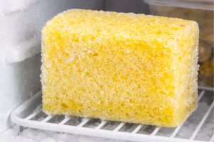 esponja úmida no congelador: