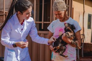 Prefeitura de Anápolis credencia clínicas para castração e microchipagem de cães e gatos