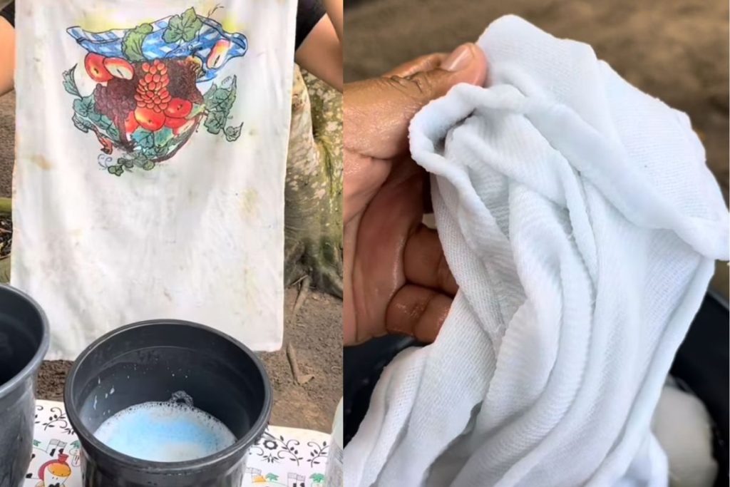 panos de prato branquinhos