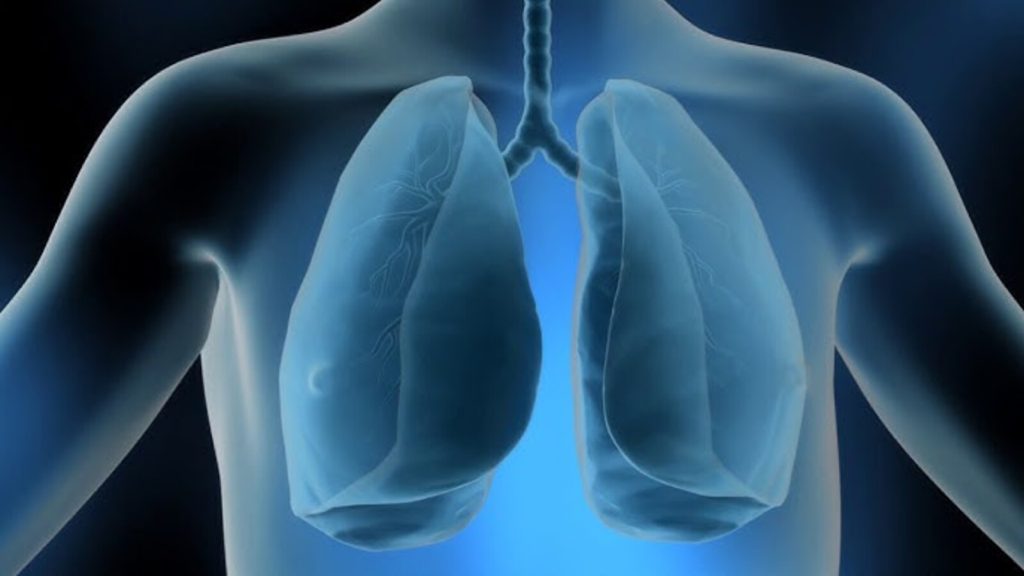 A maior palavra do dicionário português tem 46 letras: veja o significado e por que ela é tão grande