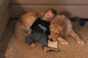 Estudos mostram que crianças que convivem com pets desenvolvem mais empatia e habilidades emocionais. Entenda os benefícios.