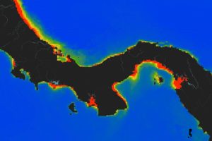 Fenômeno que sustenta a vida marinha falha pela 1ª vez em 40 anos no Panamá