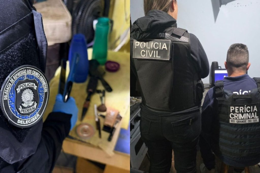 Goiás integra investigação da PF contra crimes sexuais infantis em ação nacional e internacional