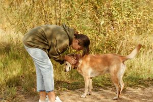 O que significa fazer carinho em cães