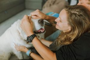 O que significa falar com animais de estimação