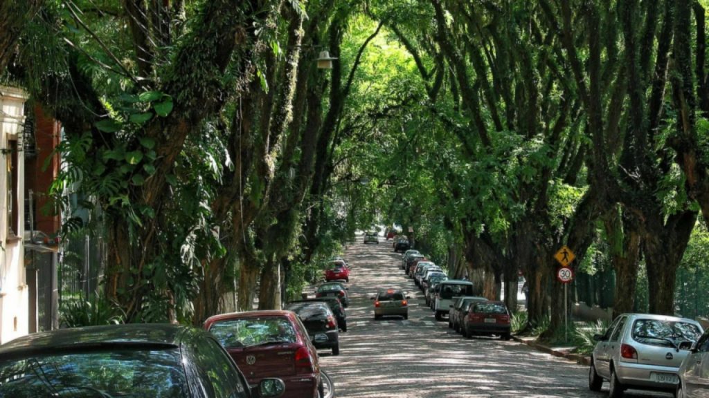 Não é na Europa, nem nos Estados Unidos: a rua mais bonita do mundo fica no Brasil e encanta todos que passam por ela