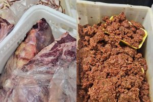 carnes apreendidas pelo Procon Goiás