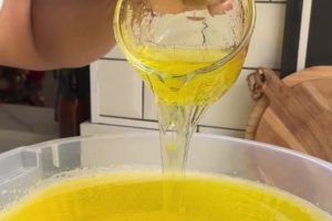 Aprenda como fazer mais de 15 litros de detergente em casa de forma simples e econômica, com boa espuma e rendimento.