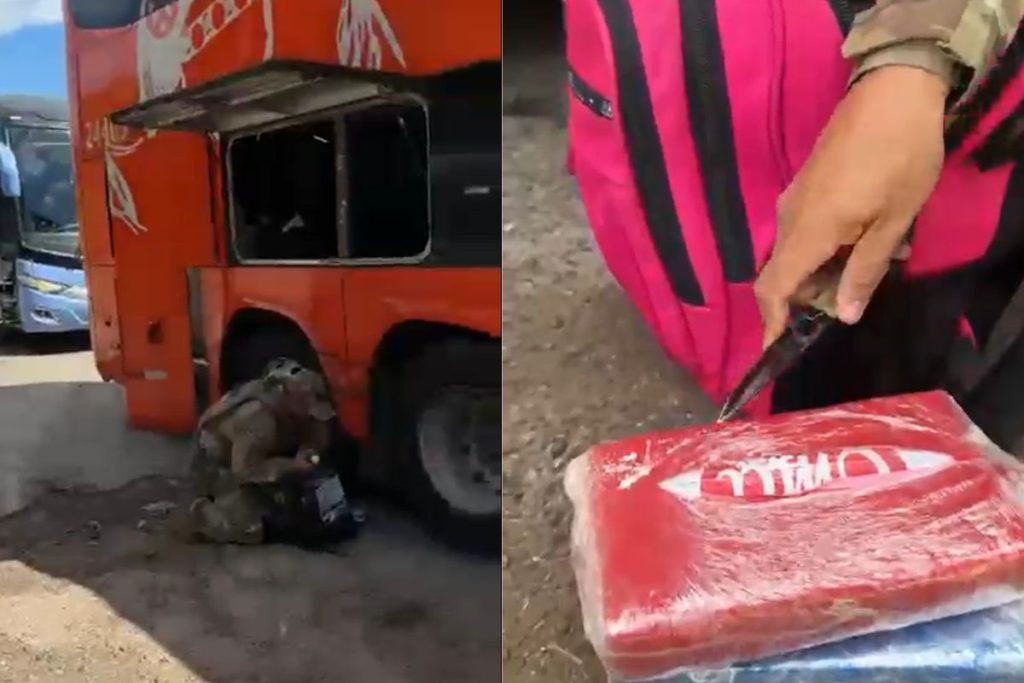 droga em ônibus de passageiro