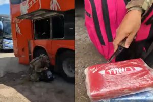 droga em ônibus de passageiro