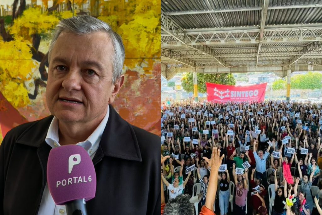 Educação de Goiânia