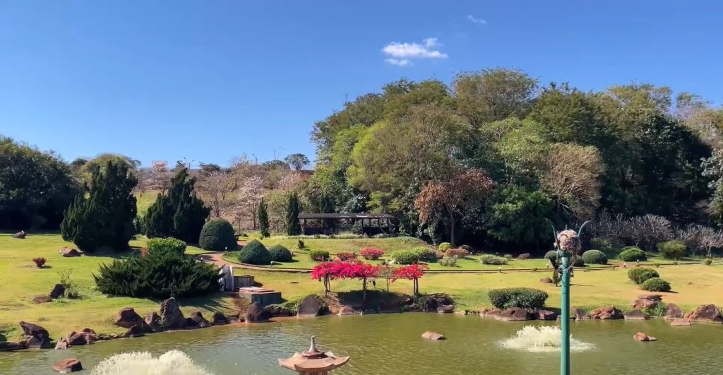 A Maringá arborizada se destaca pelo conforto térmico e pelo planejamento urbano voltado à qualidade de vida