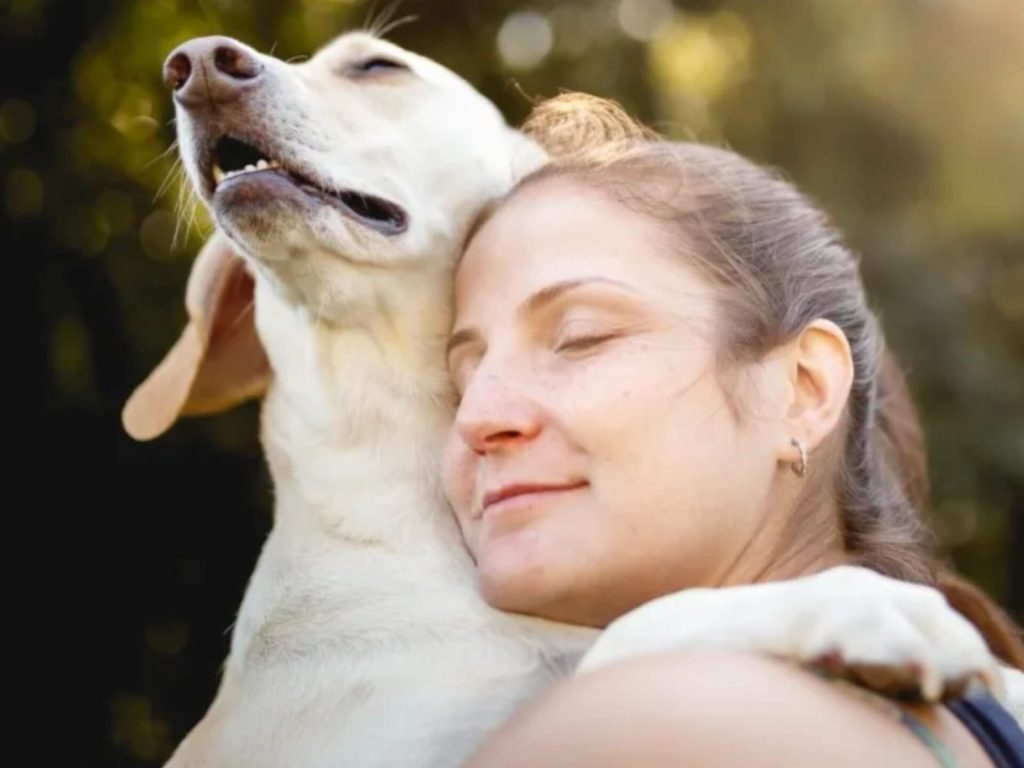 Como os pets escolhem seu humano favorito? O amor deles dá sinais