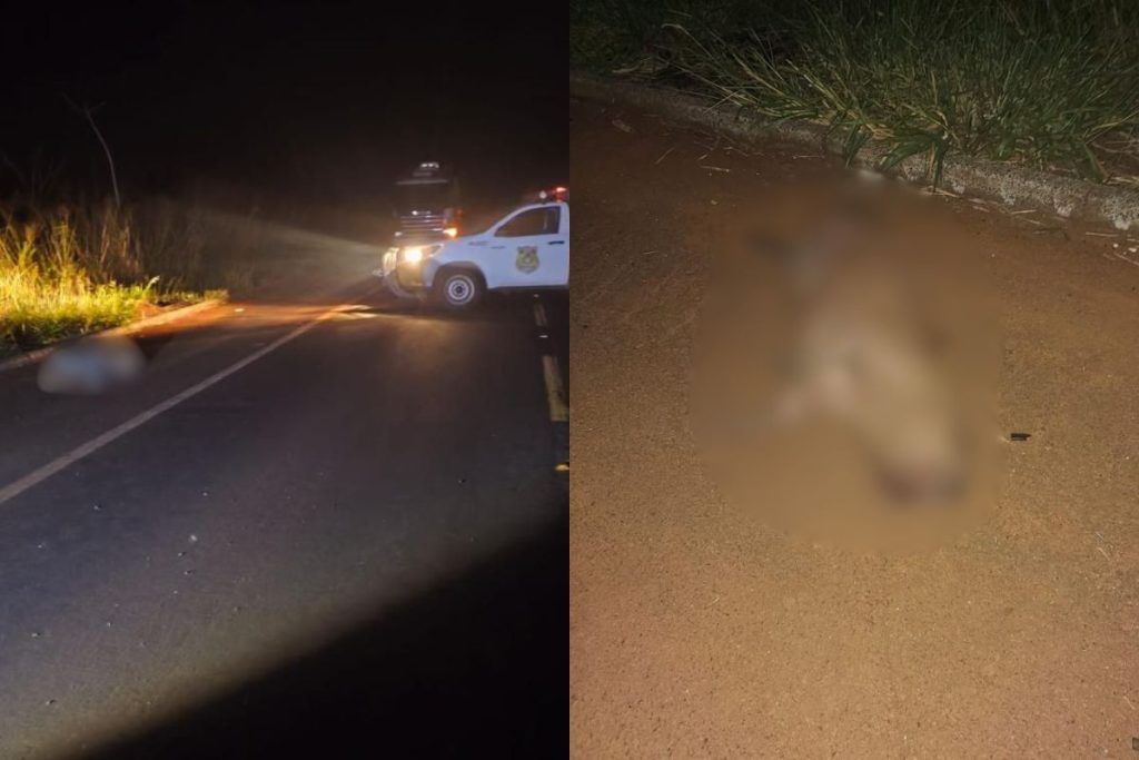 Motorista morre após atropelar capivara e capotar carro na GO-156, em Acreúna