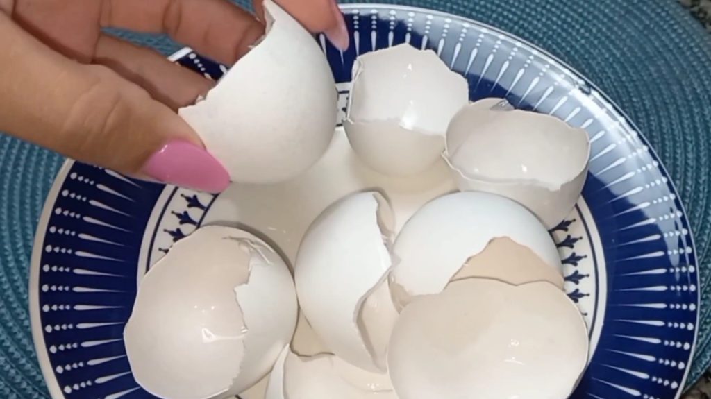 A mistura de casca de ovo com óleo virou tendência por ajudar na jardinagem, dar brilho às folhas e recuperar móveis de madeira