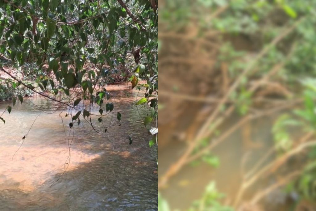 Polícia investiga corpo encontrado em córrego de Anápolis