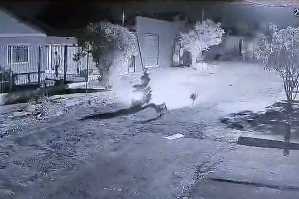 Polícia Civil indicia motociclista por matar cadela a tiros em Anápolis