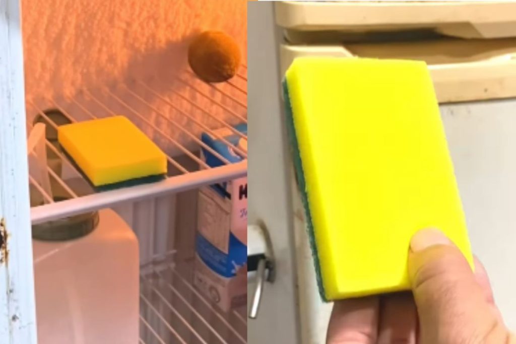 A esponja amarela na geladeira pode ajudar a diminuir o mau cheiro e absorver a umidade do ambiente