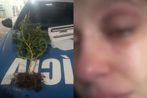 Empresário é preso após namorada expor agressões em Goiânia