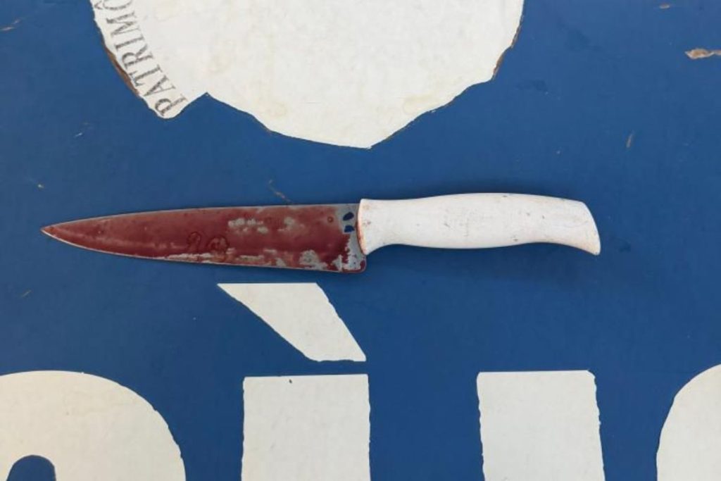 Homem morre após ser esfaqueado pelo próprio irmão em Goiânia