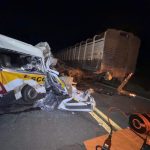 Acidente entre van escolar e caminhão provoca mortes de diversos estudantes em rodovia de Goiás