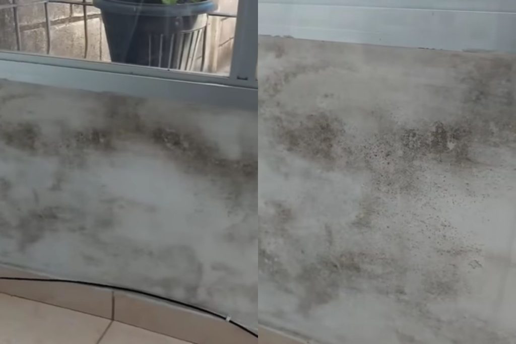 Mistura simples ajuda a remover manchas escuras da parede e ainda auxilia no combate ao odor característico do mofo