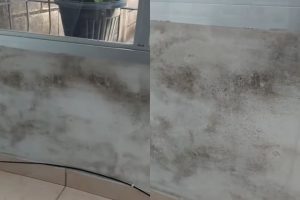 Mistura simples ajuda a remover manchas escuras da parede e ainda auxilia no combate ao odor característico do mofo