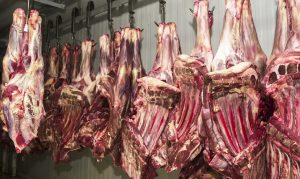 União Europeia confirma veto à carne brasileira e suspende importações a partir de setembro Brasil