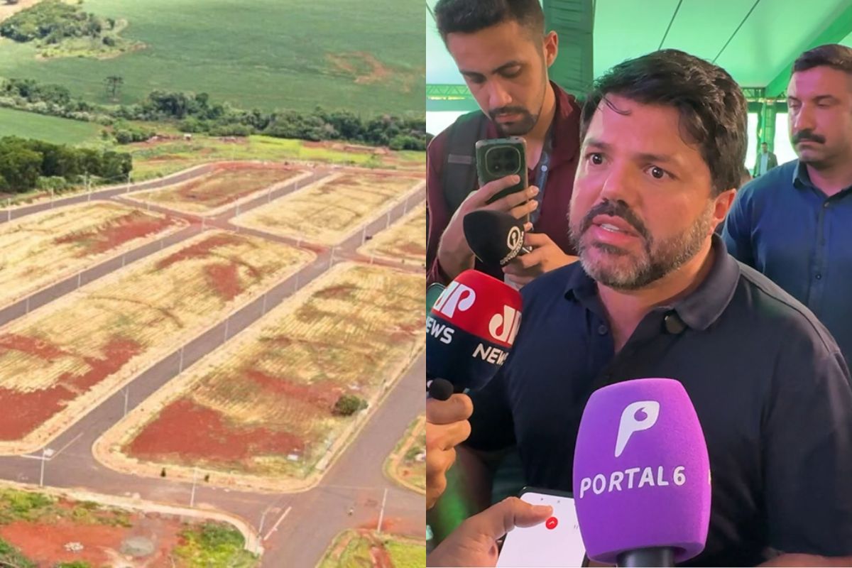Meu Lote, Minha História