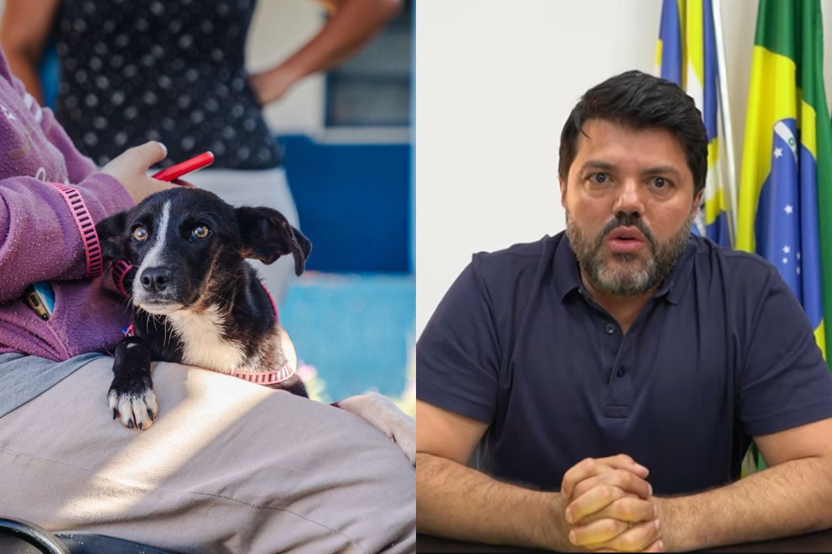 Anápolis terá centro de castração e atendimento de animais, anuncia prefeito
