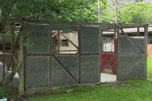 Tijolo é coisa do passado: casa feita com garrafas PET fica pronta em apenas dois dias