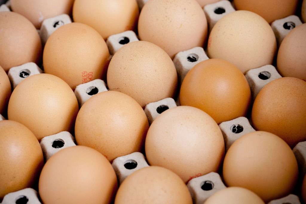 Quantos ovos uma pessoa pode comer por dia, segundo profissionais da saúde