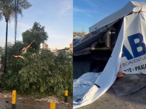 Temporal deixa rastro de destruição na Região Metropolitana de Goiânia