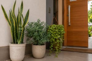 plantas para entrada de casa
