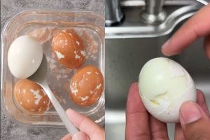 Chefs recomendam adicionar sal e vinagre à água do cozimento para facilitar na hora de descascar ovos cozidos