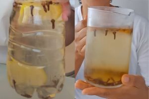 Ferver cravo-da-índia com limão e canela pode complementar uma alimentação saudável, mas não substitui tratamentos médicos