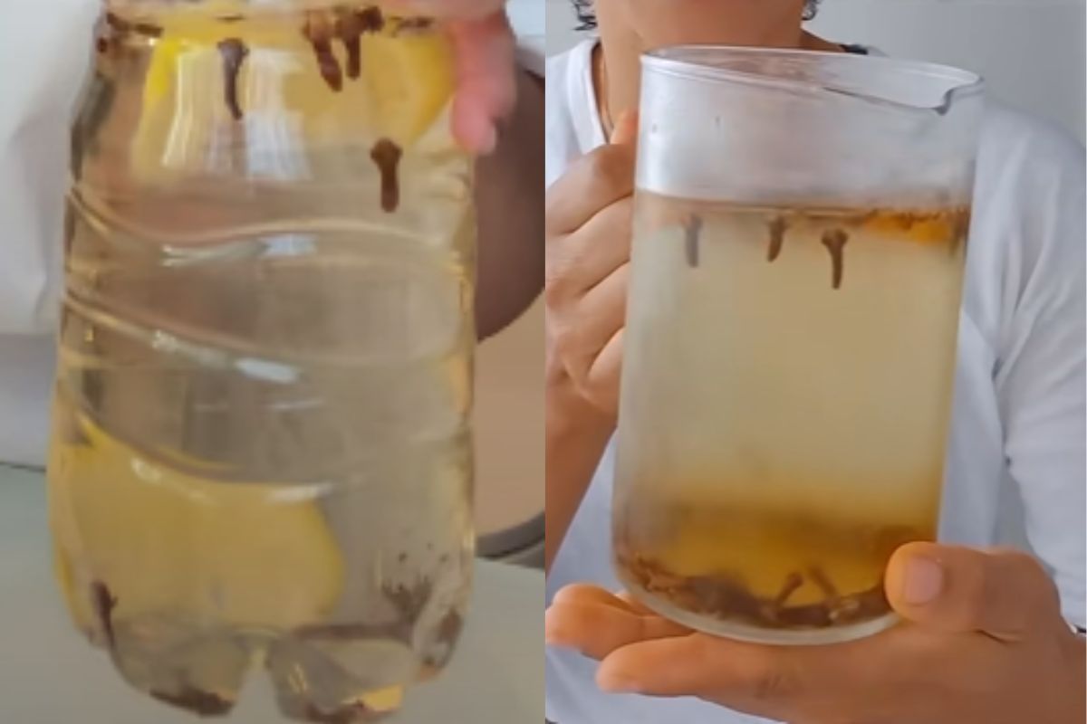 Ferver cravo-da-índia com limão e canela pode complementar uma alimentação saudável, mas não substitui tratamentos médicos