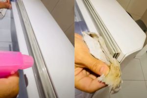 A forma mais fácil de limpar a borracha da geladeira utiliza ingredientes que muitas pessoas já têm em casa e ajuda a alcançar até os cantinhos mais difíceis