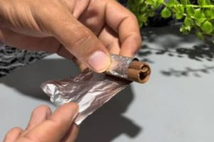 O pau de canela ganhou espaço em rituais de prosperidade e proteção, principalmente entre adeptos do Feng Shui
