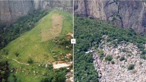 cidade que plantou mais 11 milhões de árvores: Rio de Janeiro