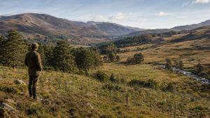 Chamado de louco, herdeiro compra 23 mil acres de montanhas vazias, planta 1 milhão de árvores e resultado após 20 anos impressiona