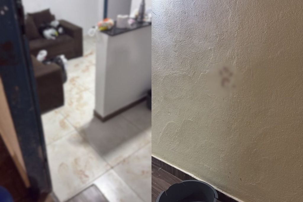 Contador desaparece e é encontrado morto dentro de casa em Trindade