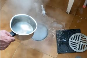 Desentupir o Ralo do Box pode ser mais simples com uma mistura de ingredientes comuns que ajuda a remover resíduos e neutralizar maus odores
