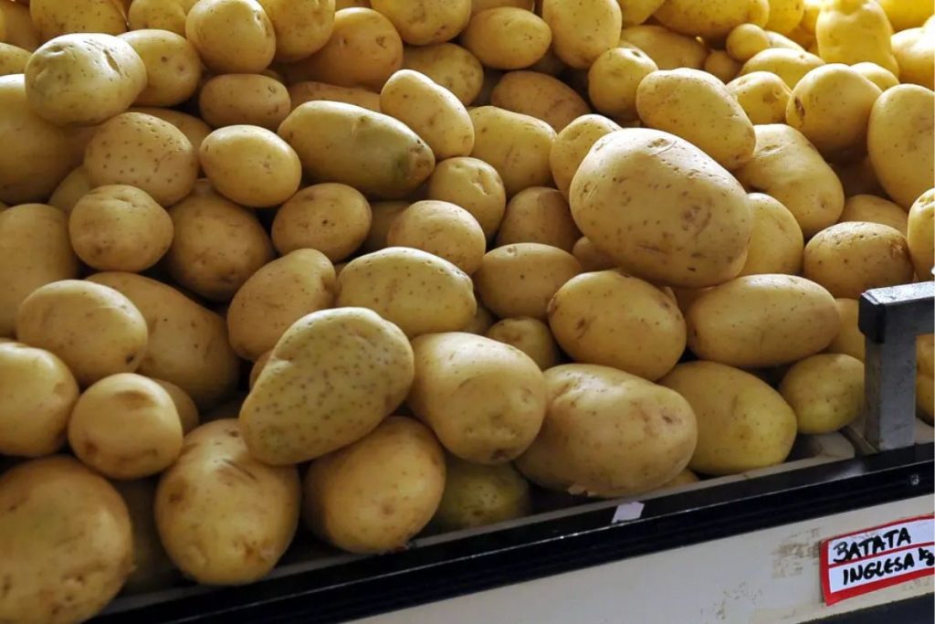 Batata-inglesa acumula alta de mais de 111% em Goiás em apenas seis meses