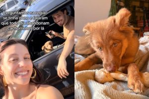 Casal de Goiânia salva cadelinha de atropelamento e vídeo viraliza nas redes sociais: "encontro de almas"
