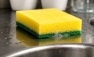 esponja