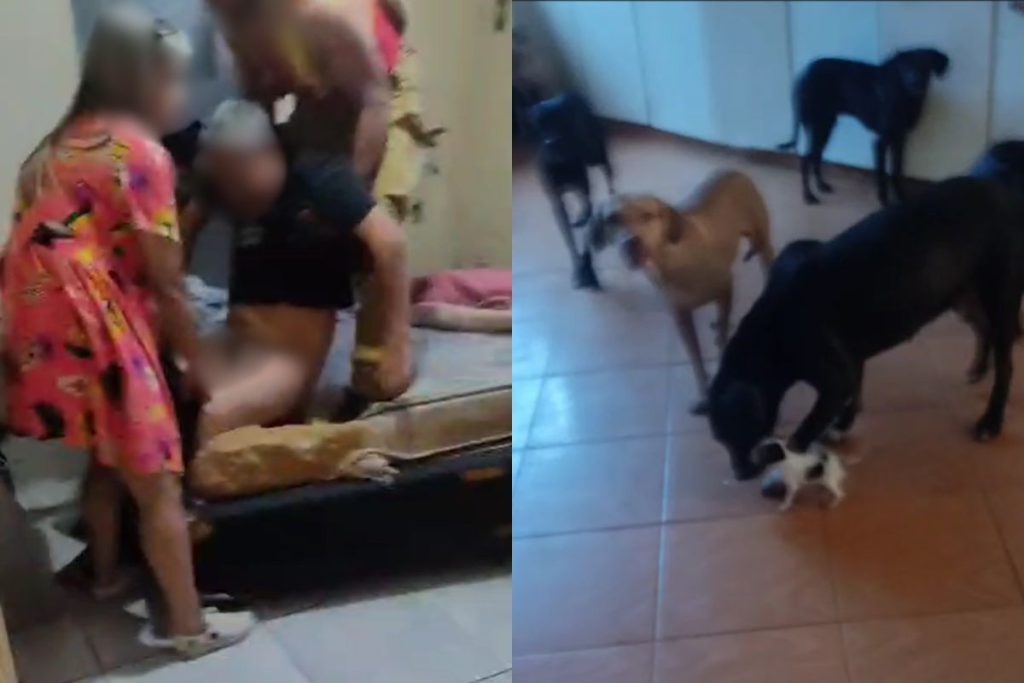 idoso encontrado abandonado em Anápolis
