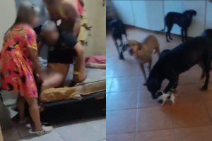 idoso encontrado abandonado em Anápolis