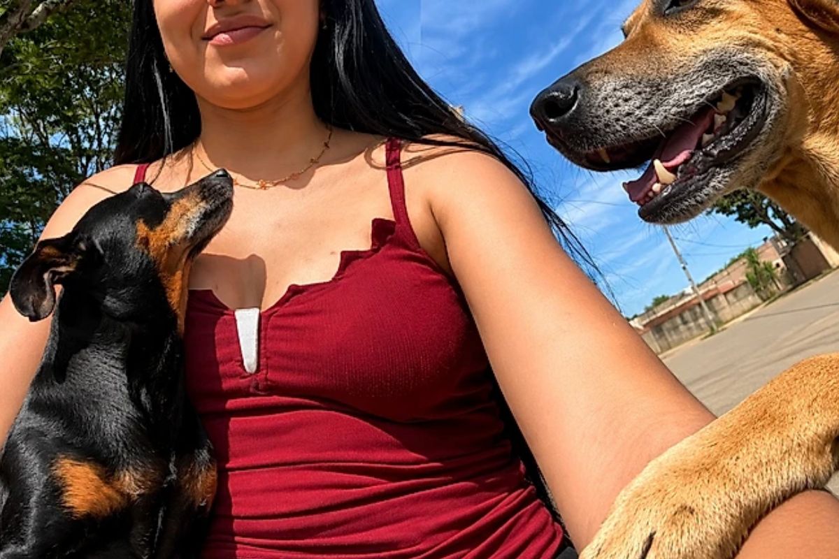 Cães de rua fazem companhia a mulher em dia difícil. (Foto: TikTok/@thaabatalopes)